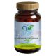 Cúrcuma Fitosomada · CFN · 60 comprimidos