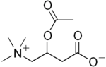 Las propiedades de la L-Carnitina