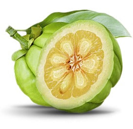 La Garcinia Cambogia nos ayuda a adelgazar gracias a su poder quemagrasas