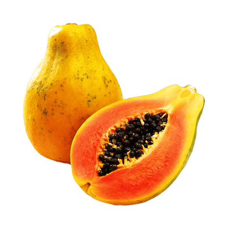 Propiedades de la Papaya fermentada