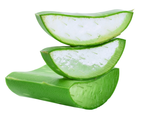 Beneficios internos del consumo de Aloe Vera