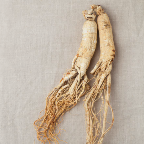 Los secretos del Ginseng