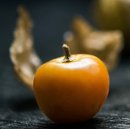 Propiedades del Physalis (Alquequenje)