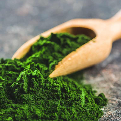 Chlorella: propiedades, beneficios y contraindicaciones