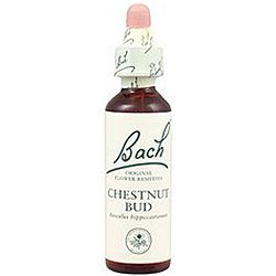 Chestnut Bud nº 7 · Bach · 20 ml