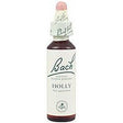 Holly nº 15 · Bach · 20 ml