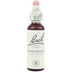 Honeysuckle nº 16 · Bach · 20 ml