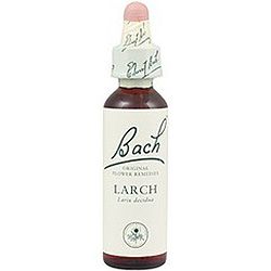 Larch nº 19 · Bach · 20 ml