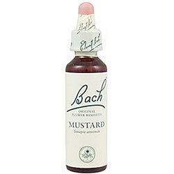 Mustard nº 21 · Bach · 20 ml