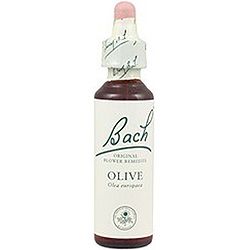 Olive nº 23 · Bach · 20 ml