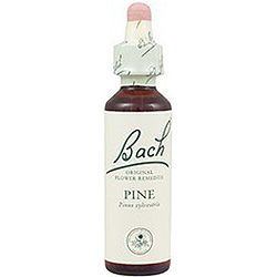 Pine nº 24 · Bach · 20 ml