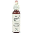 Sweet Chestnut nº 30 · Bach · 20 ml