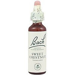 Sweet Chestnut nº 30 · Bach · 20 ml