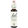 Walnut nº 33 · Bach · 20 ml