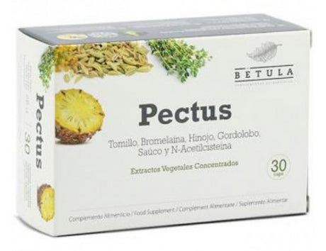 Pectus · Betula  · 30 cápsulas