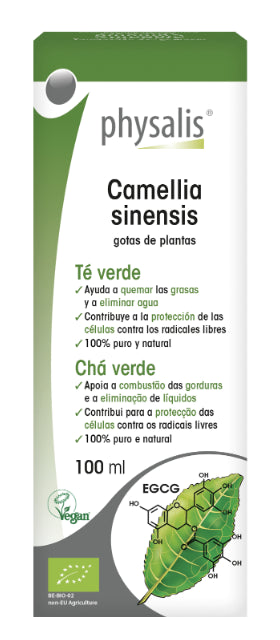 Tintura de Té Verde · Physalis · 100 ml