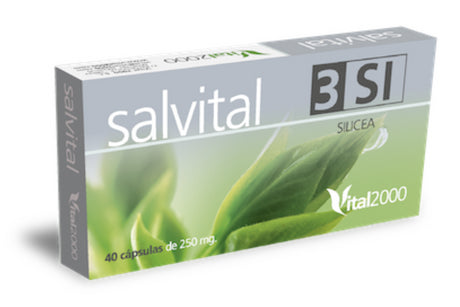 Salvital 3 SI - Silicea · Vital 2000 · 40 cápsulas