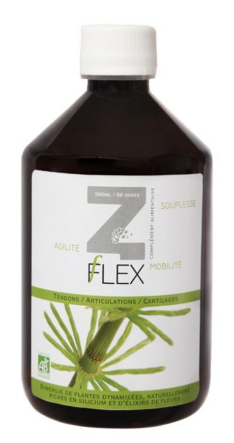 Z-Flex · Mint-e Health · 500 ml