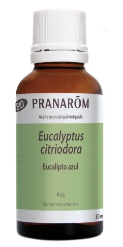 Aceite Esencial de Eucalipto Azul Bio · Pranarom · 30 ml