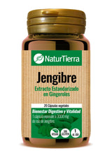 Jengibre · NaturTierra · 20 cápsulas