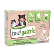 Kowi Gastric · Kowi Nature · 60 comprimidos