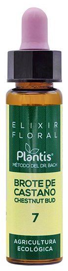 Elixir Floral Brote de Castaño (Chestnut Bud) Nº 7 · Plantis · 10 ml