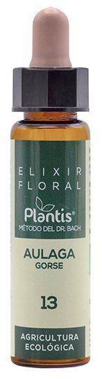 Elixir Floral Aulaga (Gorse) Nº 13 · Plantis · 10 ml