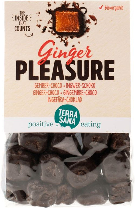 Ginger Pleasure · Terrasana · 150 gramos