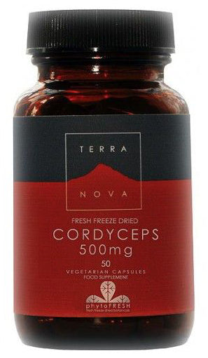 Cordyceps 500 mg · TerraNova · 50 cápsulas